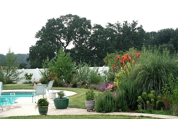 landscaping-palo-cedro-pool-spa-13